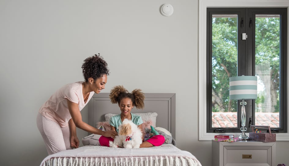 New Haven carbon monoxide detector